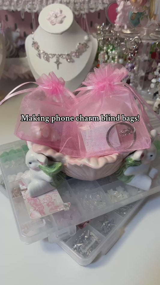 Phone charm + keychain blind bag!